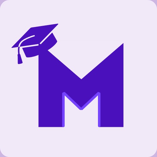 Students connecting with university mentors