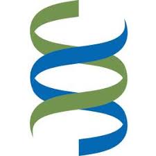 Brighton and Sussex Medical School